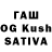 Галлюциногенные грибы Cubensis Claiton Saraiva