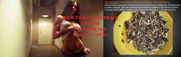 ешки Покров