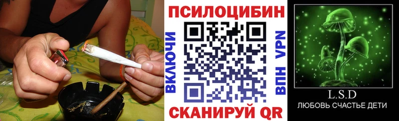 наркотики  Цимлянск  Псилоцибиновые грибы Psilocybe 